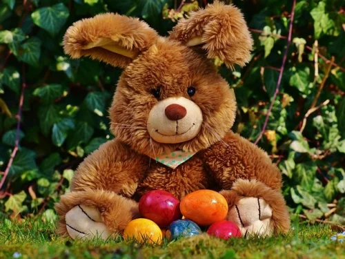 Görkemli Arenada Terazi Tercihleri: 10. Evde Dengenin İhtişamı