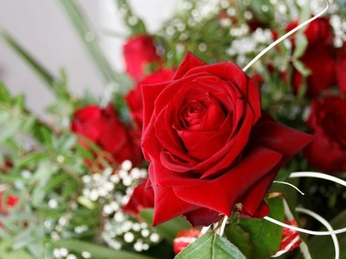 11. Ev İkizler Burcu