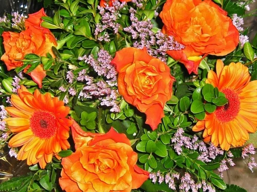 12. Ev İkizler Burcu