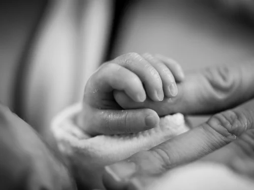 Alçalan Burç Hesaplama Alçalan Nedir? 7. Ev Evlilik Burcu