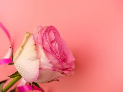 Ay Burcu Neyi Temsil Eder? İçsel Dünyanız ve Duygusal Kimliğiniz