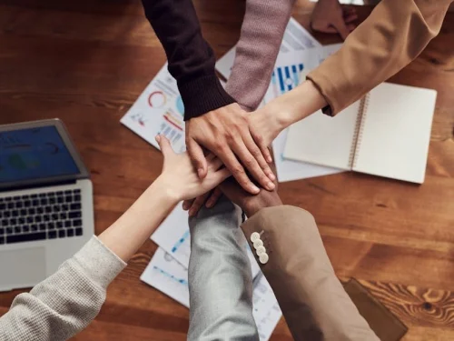 Koç Ayı: Ateşin Nabzıyla Dünyayı Fetheden Ruhun Anatomisi