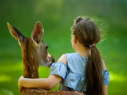 Doğum Haritasında Ev Konuları