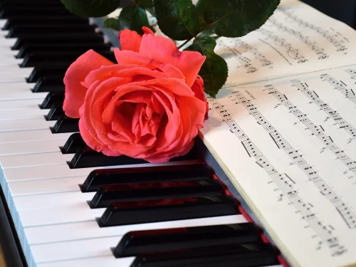 Doğum Haritasında Ev Sistemi Nedir?