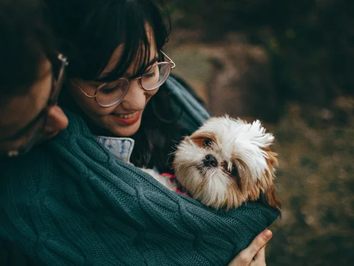 Terazi Güneşi ve 6. Ev: Denge Arayışının Operasyonel Mükemmelliği
