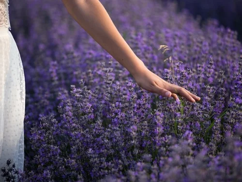 Jüpiter Koç Burcunda