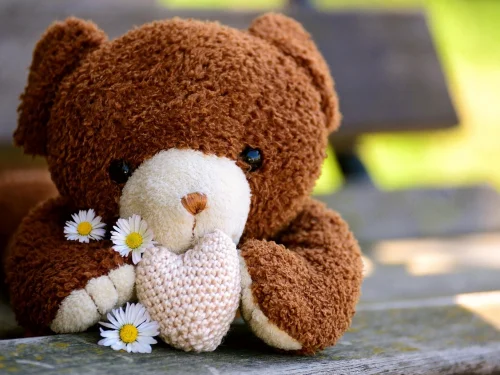 Kuzey Ay Düğümü Kare Juno