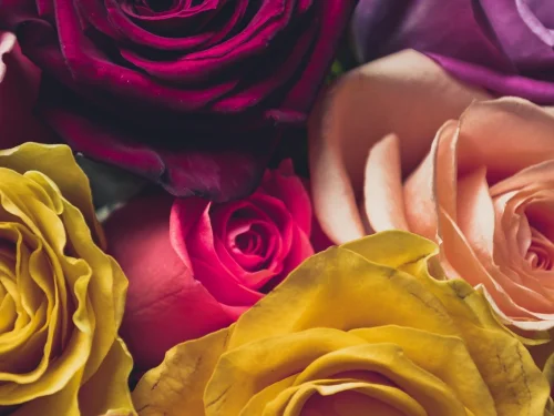 Başak Lilith: Mükemmeliyetin Gizli Silahı ve Kusurların Kutsal Kaosu