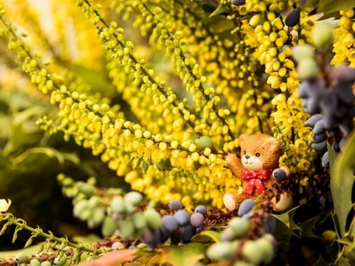 Medium Coeli (MC) Neyi Temsil Eder? Kariyer ve Toplumsal İmaj