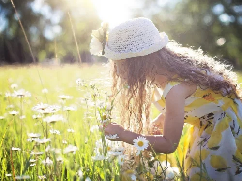 Aslan'ın Ateşi, Plüton'un Dönüşümü: Bir Liderin Efsanevi Dönüşüm Kodları